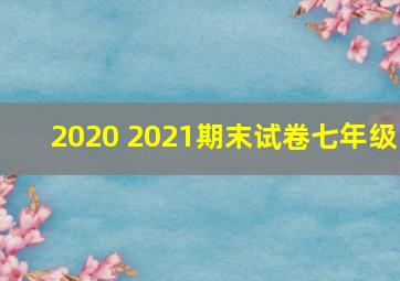 2020 2021期末试卷七年级